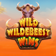 Wild Wildebeest Wins game screenshot